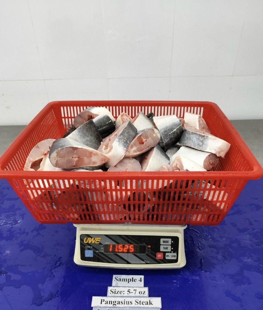 High Quality Pangasius