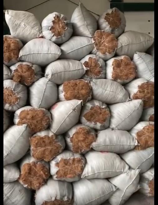 Coconut Fibers