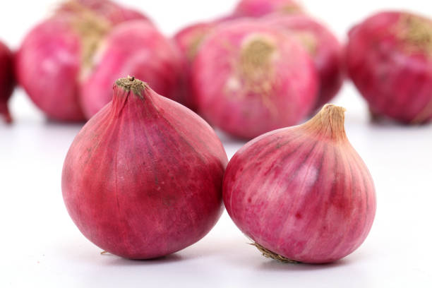 A Comprehensive Guide to Sourcing High-Quality Onion: Top 4 Onion Suppliers in Philippines in Year 2025