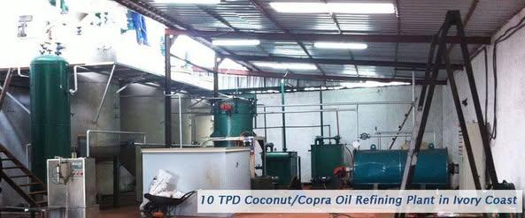 Dry Coconut Health Image