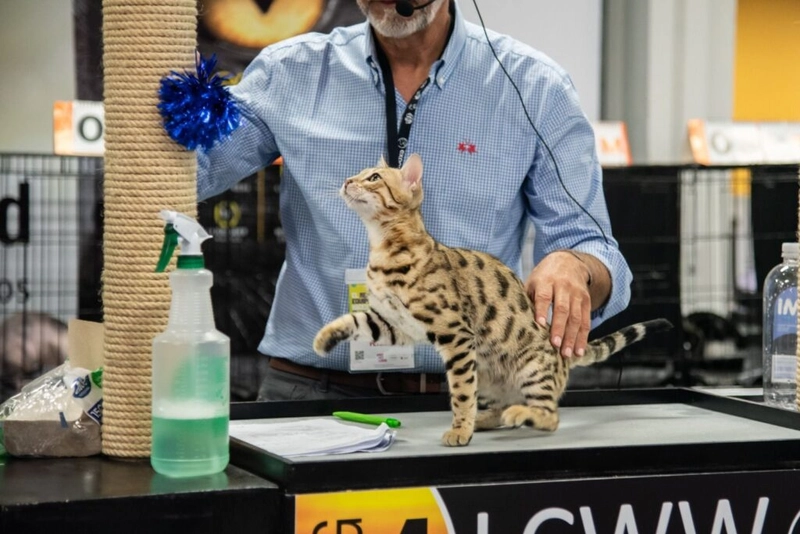 Why Attend EXPOPET COLOMBIA? B2B Intro - 2