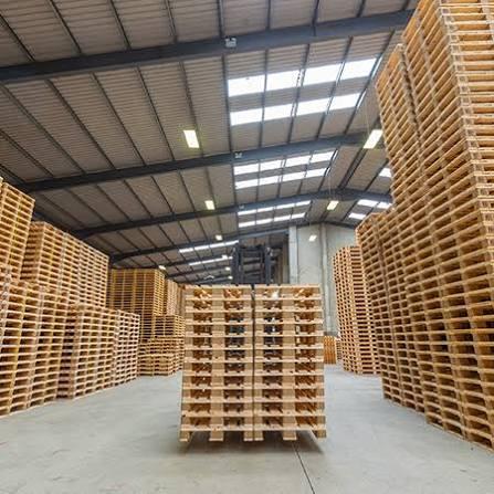 Best Quality Custom Made Wholesale Euro Pallet 120 x 80 Supply