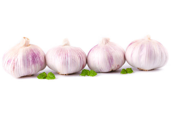 Top 7 Garlic Suppliers in Portugal in July 2025: Urgent Update on the Garlic Market