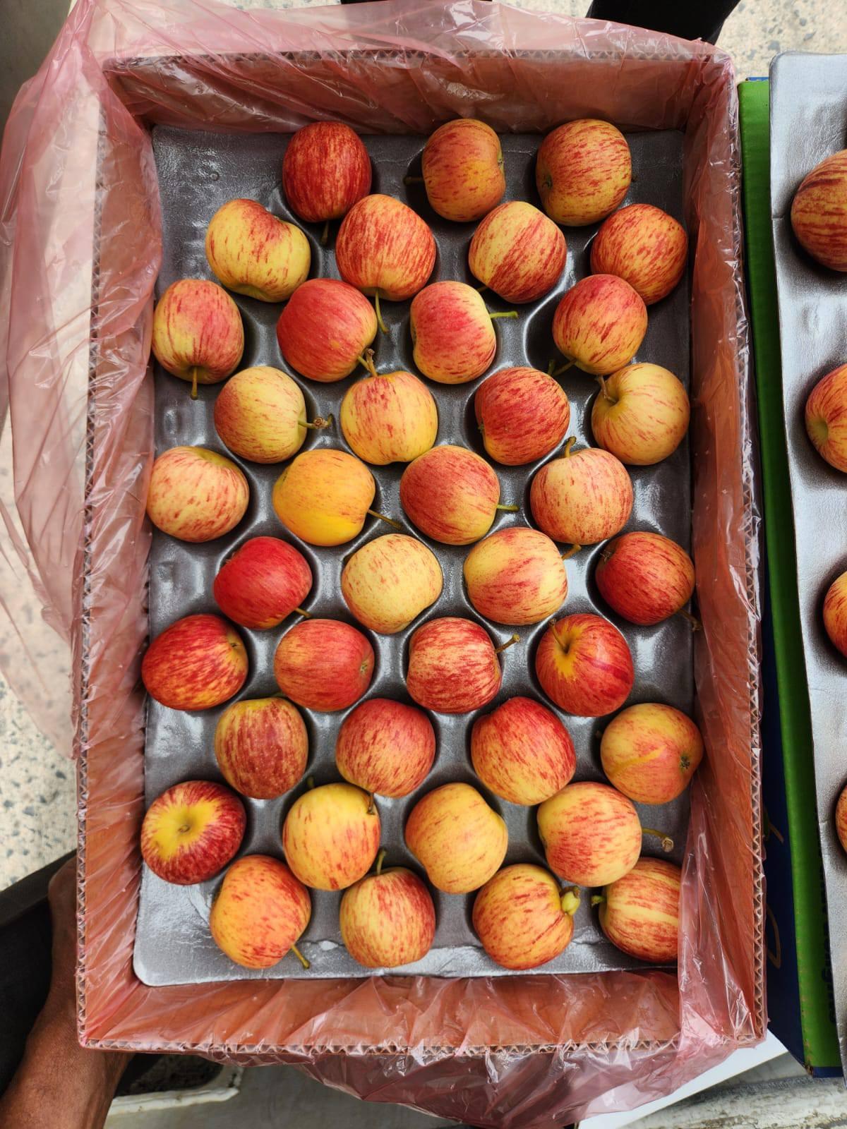 Fresh Apple Ph 3.5–4.0 Size 65–85 Mm (grade A) Moisture Content 80–85% Weight Per Fruit 150–250 G Tss Degree Brix 11–15