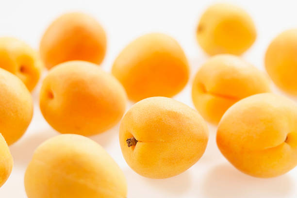 Top 9 Apricot Suppliers in South Africa in Quarter 3 of 2025