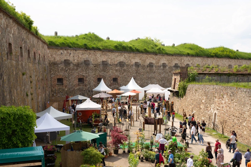 Unlock Landpartie Festung Ehrenbreitstein: Must-Know B2B Event - 3