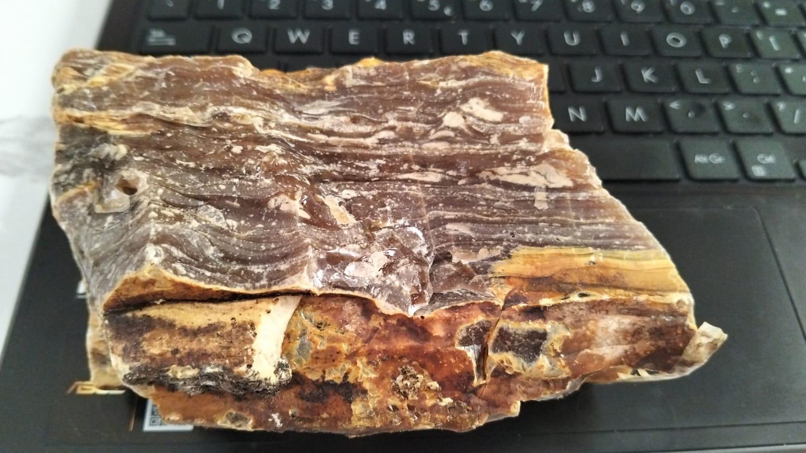 GUM DAMAR DAMAR BATU DAMAR MERANTI
