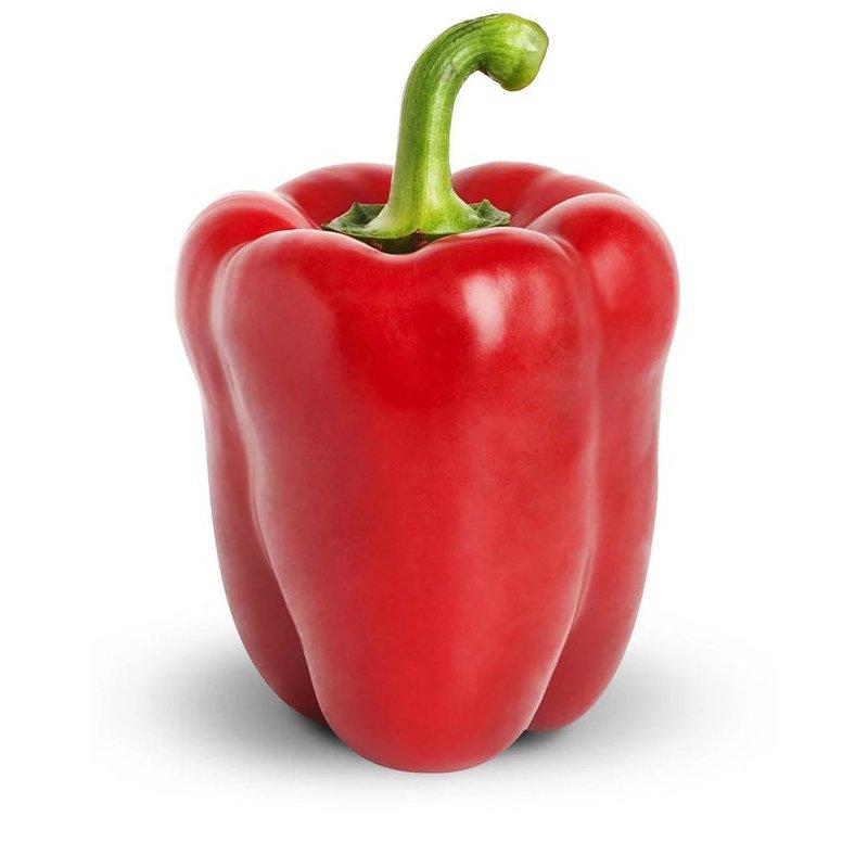 New Arrival High Quality Delicious and Healthy Fresh Green Bell Pepper Green Capsicum Fruits Factory Price