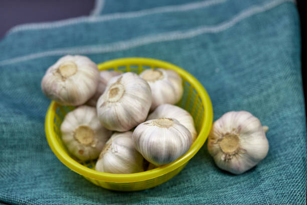 Top 10 Garlic Suppliers in United Arab Emirates in September 2025