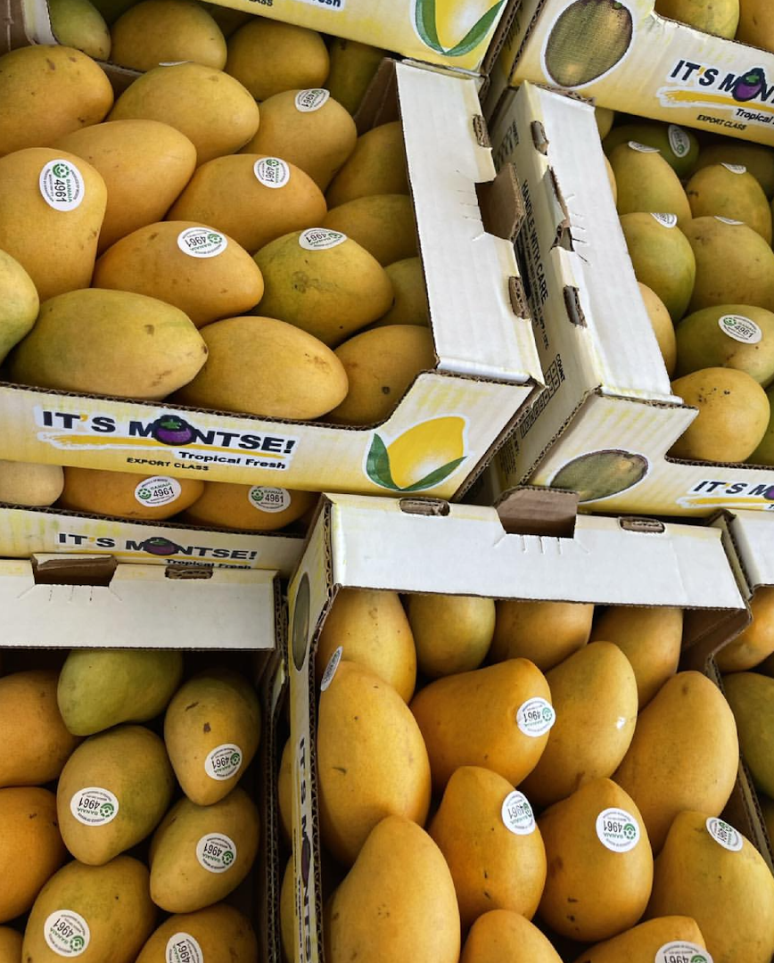 Reliable Supply Fresh Edible Mangoes Naturally Sweet & Export Ready , Best Tropical Mango Fruit On Sale