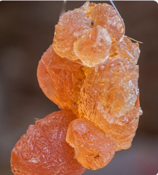 Gum Arabic Form Gum Type Arabic Weight 500 Mt