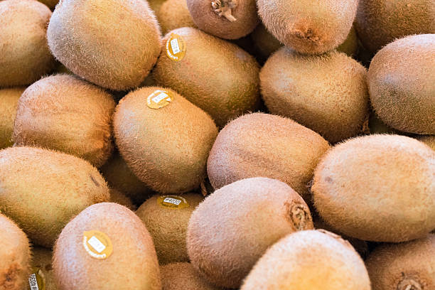 Top 6 Kiwi Suppliers in Sri Lanka in Year 2025: Urgent Market Update for Businesses