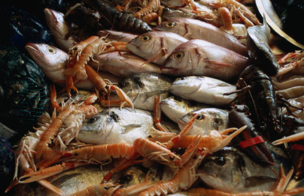 Top 6 Seafood Suppliers in United Arab Emirates in Quarter 3 of 2025