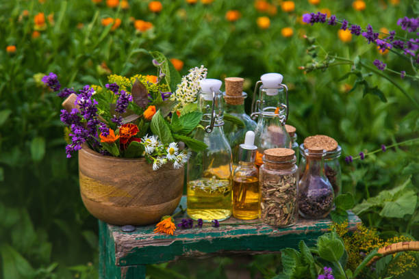 Top 7 Herbal Products Suppliers in Thailand in Year 2025