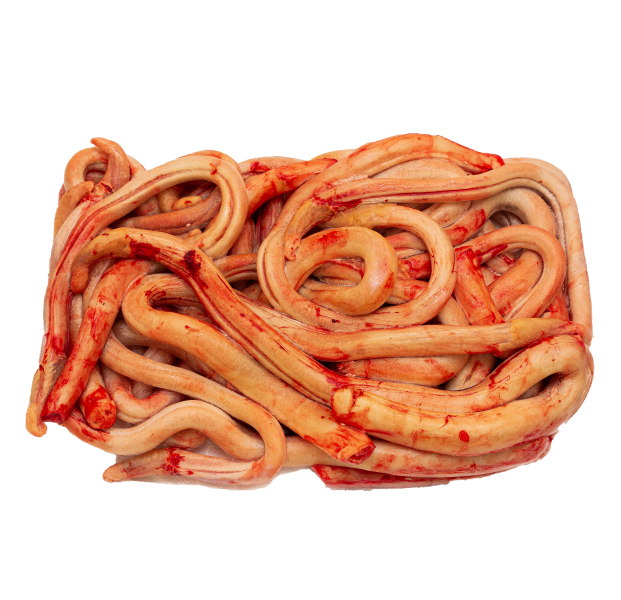 Frozen beef pizzle 