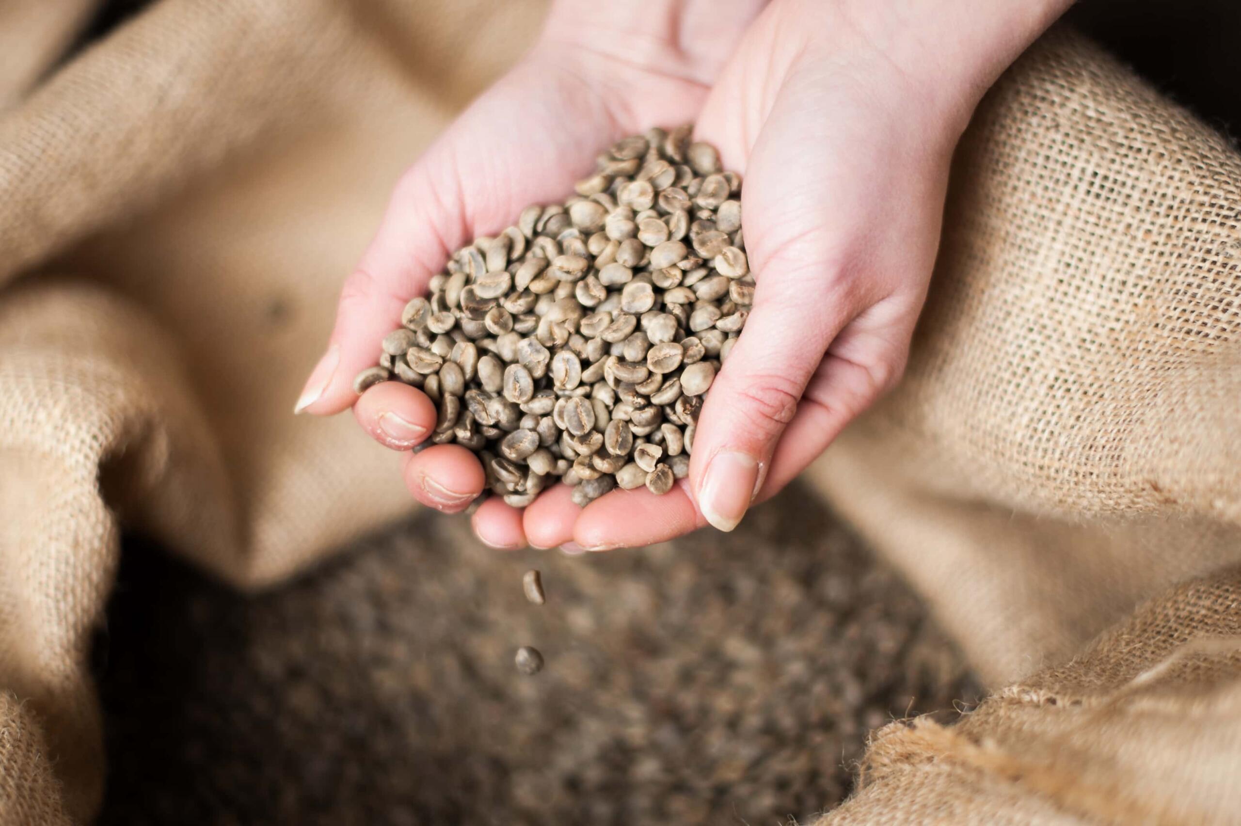 High Quality Roasted Robusta & Arabica Coffee Beans From USA
