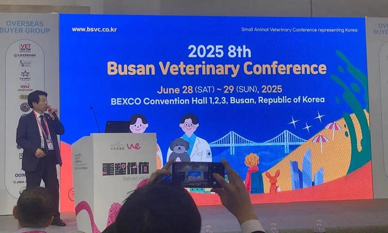 Why Attend Busan Veterinary Conference ? B2B Intro - 1