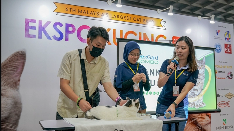 Inside Ekspo Kucing: B2B Key Insights - 2