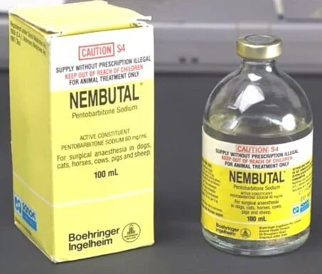 High-quality Nembutal Pentobarbital Sodium Powder Purity 95% Volume 1 Litre Form POWDER, Powder And Liquid Active Ingred