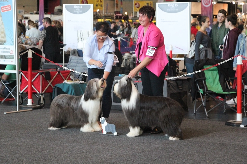 Discover INTERNATIONALE RASSEHUNDEAUSSTELLUNG: B2B Event Guide - 2