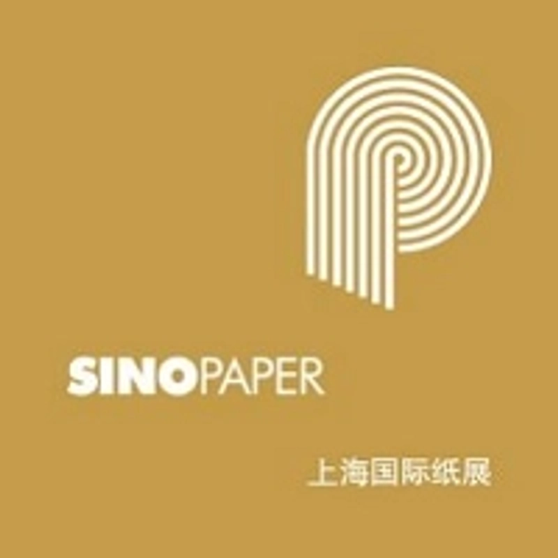 Inside SinoPaper: B2B Key Insights