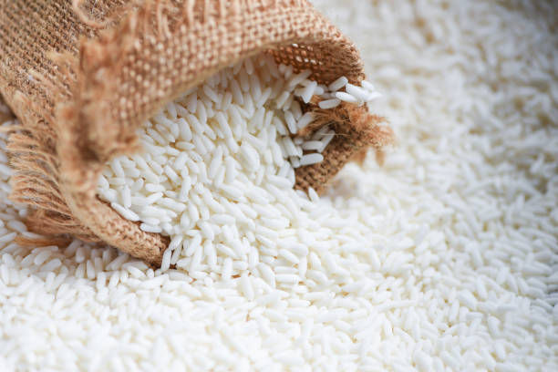 Top 6 Fragrant Rice Suppliers in Thailand in Quarter 3 of 2025