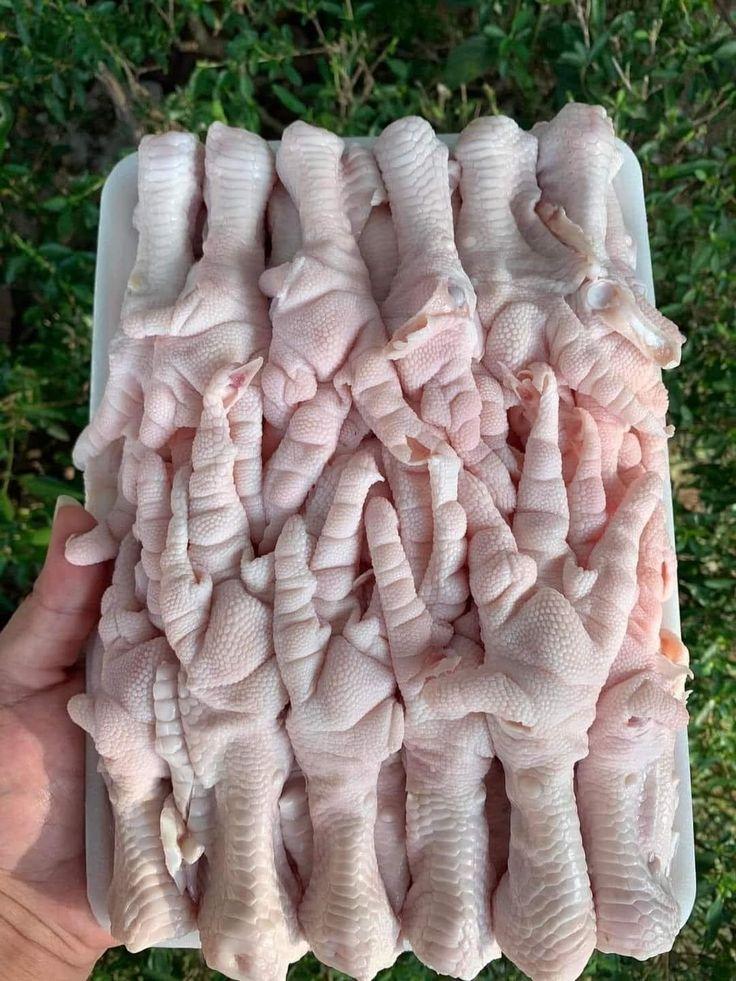 Frozen Chicken Feet