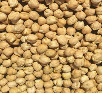 Cashew Nuts, cashew kernels, processed cashew, current crop, air dried, salted cashew