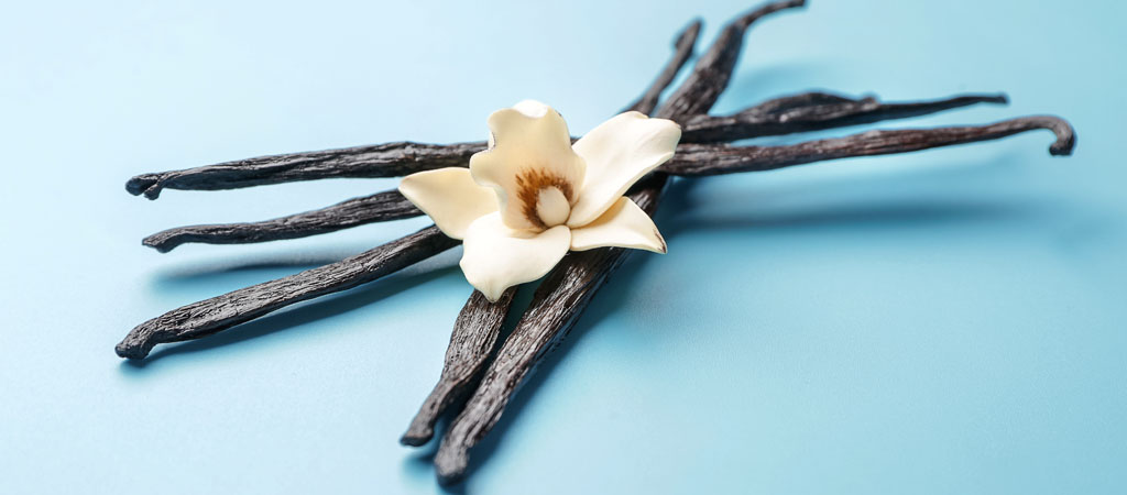 Vanilla Beans The Liquid Gold Facing Climate Crisis and Market Turbulence