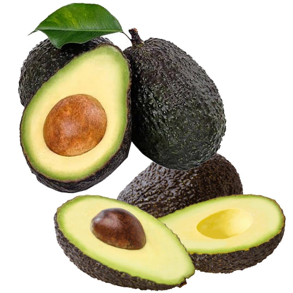 Organic Fresh Hass Avocado Tropical & Sub-Tropical Fruit Top Grade Green Color 5cm Size 3.5kg Weight