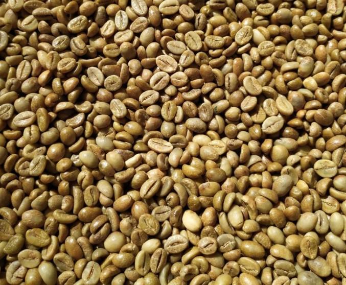 Packaging and Export Quality