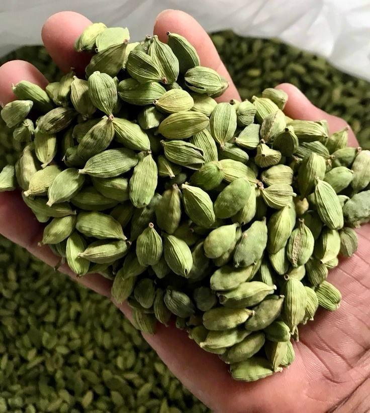 Green Cardamom Pods – Dried Whole Cardamom for Wholesale & Export