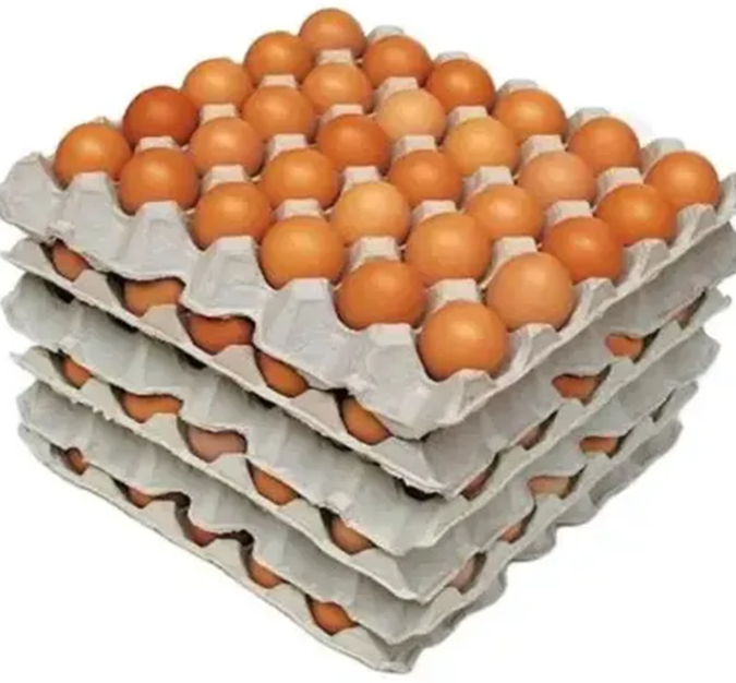 Chicken Eggs