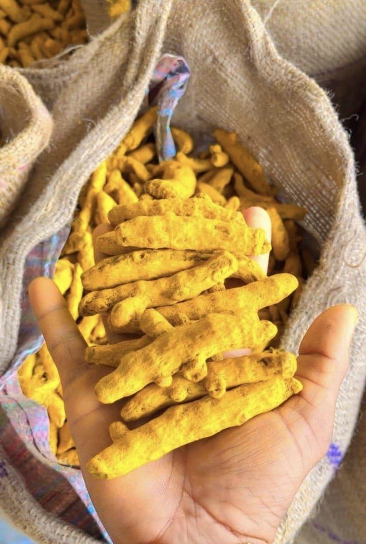 Turmeric double polished