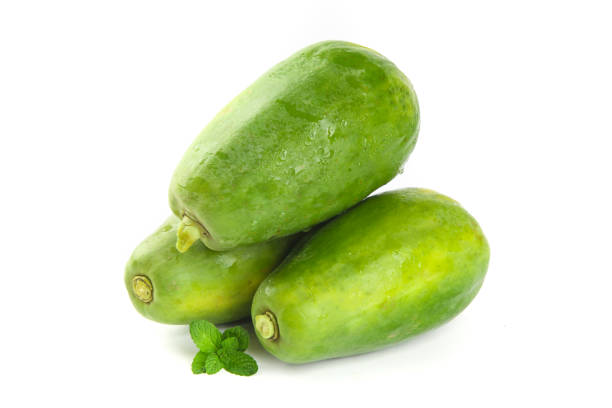 Your Expert Guide to Procuring Top-Tier Papaya: Top 10 Papaya Suppliers in Sri Lanka in August 2025