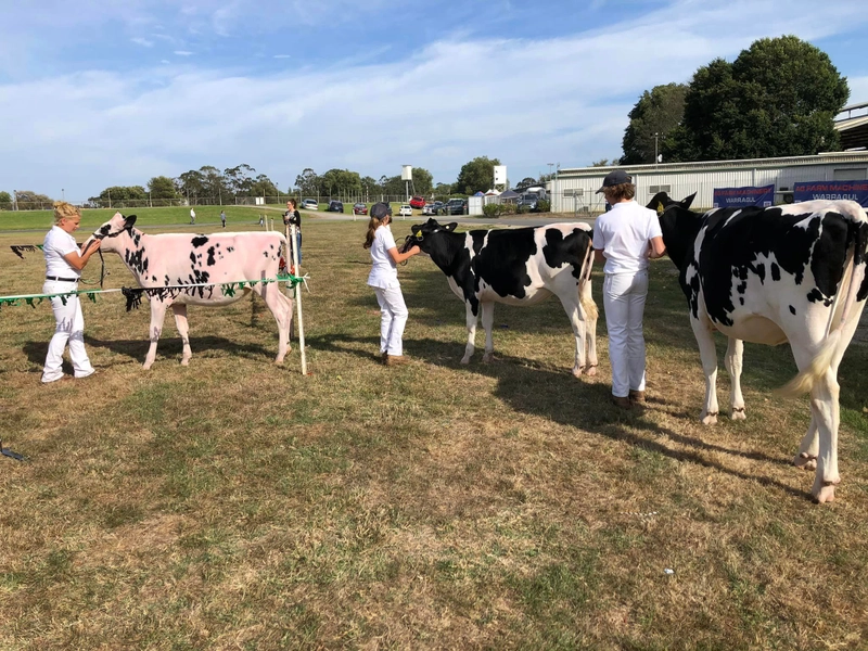 Warragul Show Spotlight: B2B Essentials - 3