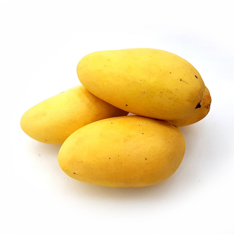 Wholesale IQF High Quality Frozen Fresh Fruits Mango Price