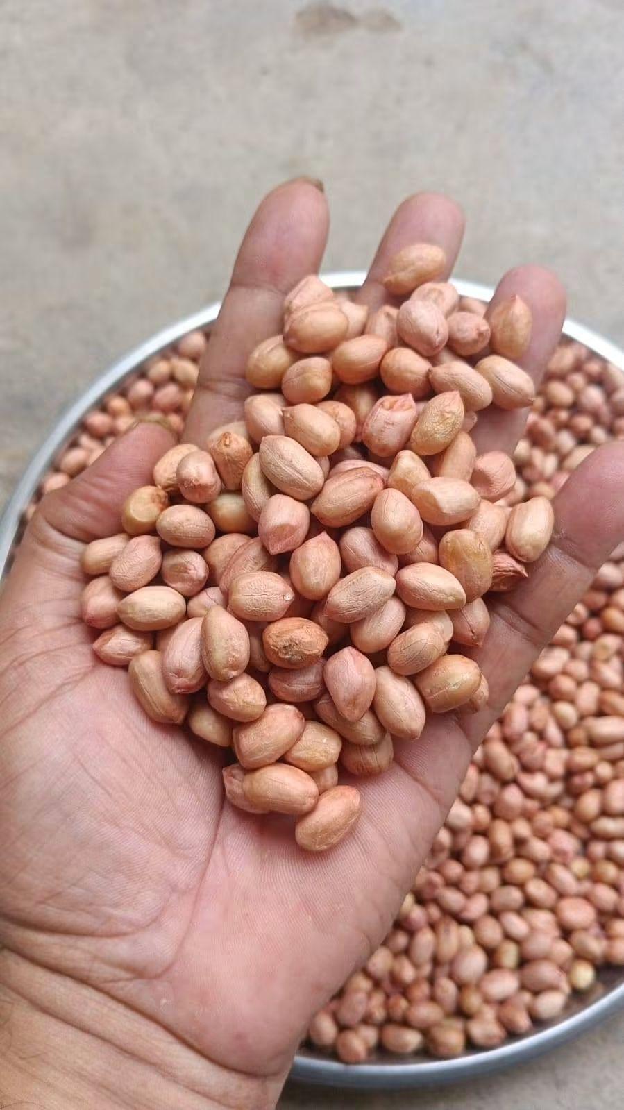 Peanuts