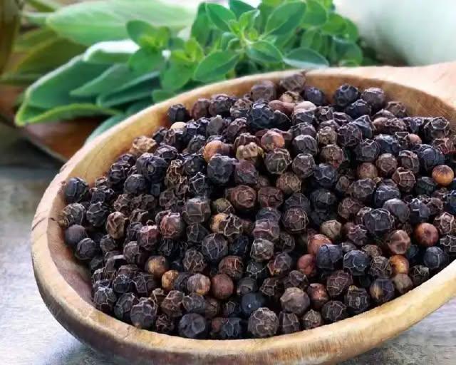Cheap Dried Black Pepper 550GL Pepper Spices Black Peppercorn