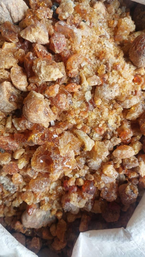 Arabic Gum - acaia seyal 