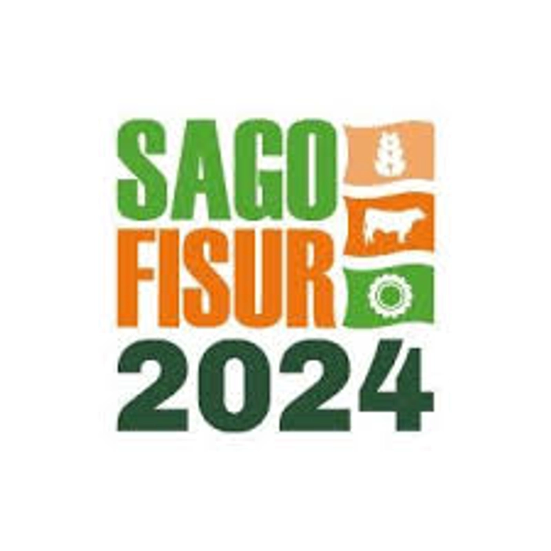 Sago Fisur Spotlight: B2B Essentials