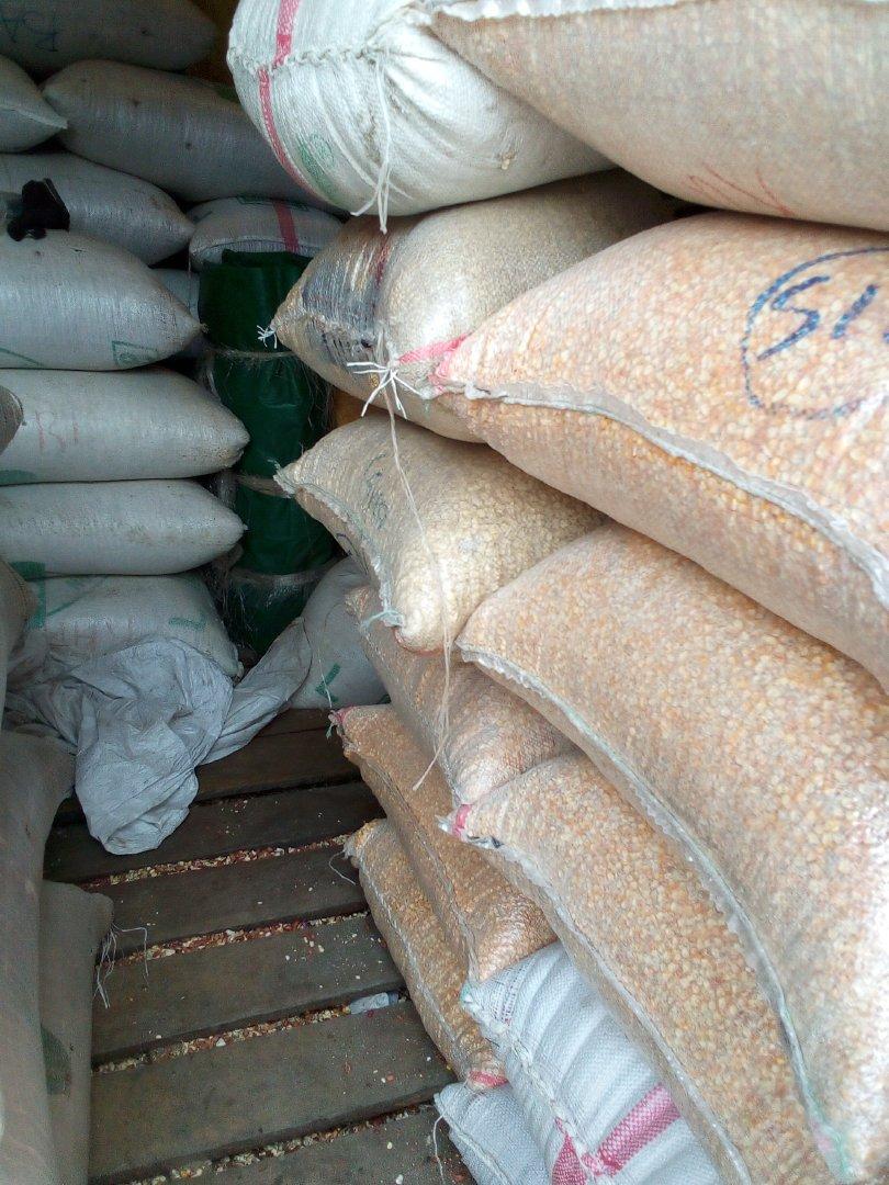 Discover the Top 5 Corn Suppliers in South Africa
