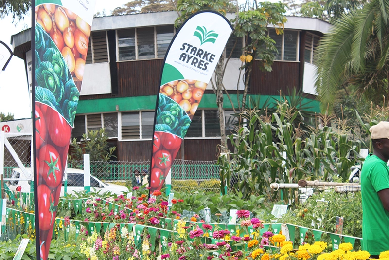 Why Nairobi International Trade Fair (NITF) Matters for B2B - 3