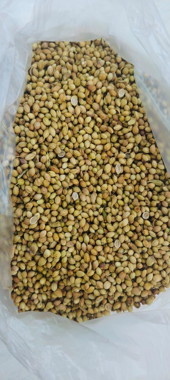 Split Coriander