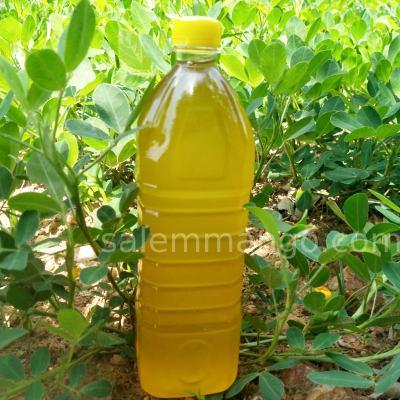 Cold Pressed Groundnut Oil