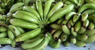 Green Banana Relative Humidity 85–95% Pulp Color White To Cream Net Weight 13–18 Kg Per Box Peel Thickness Medium To
