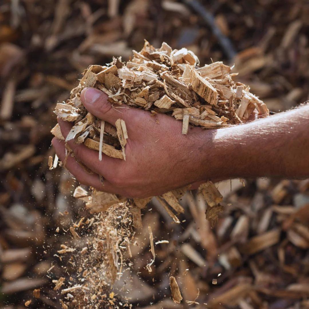 Processed Hardwood Wood Chips Bulk Supply Wood Chips For Packaging Industry And Protective Material Manufacturing
