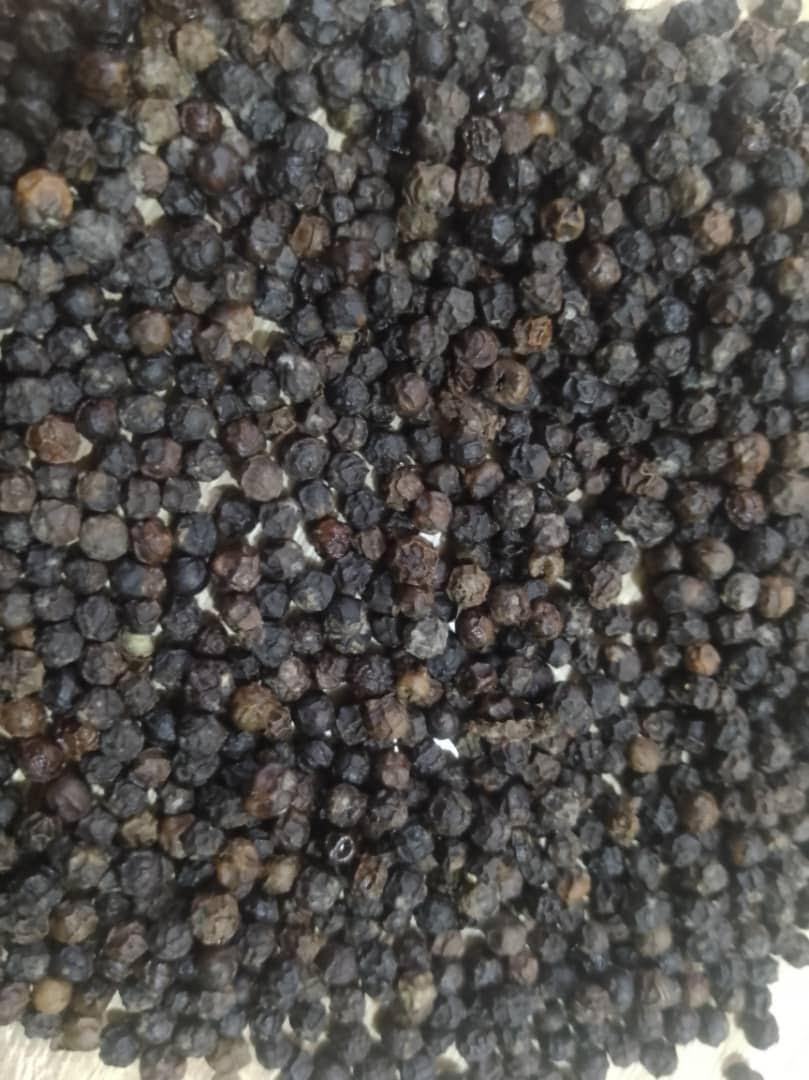 BLACK PEPPER Features Organic Density 550 G/l Min Mouldy Berries None Light Berries 2% Max Packing 50kgs PP Bags Foreign Matter 0.5%