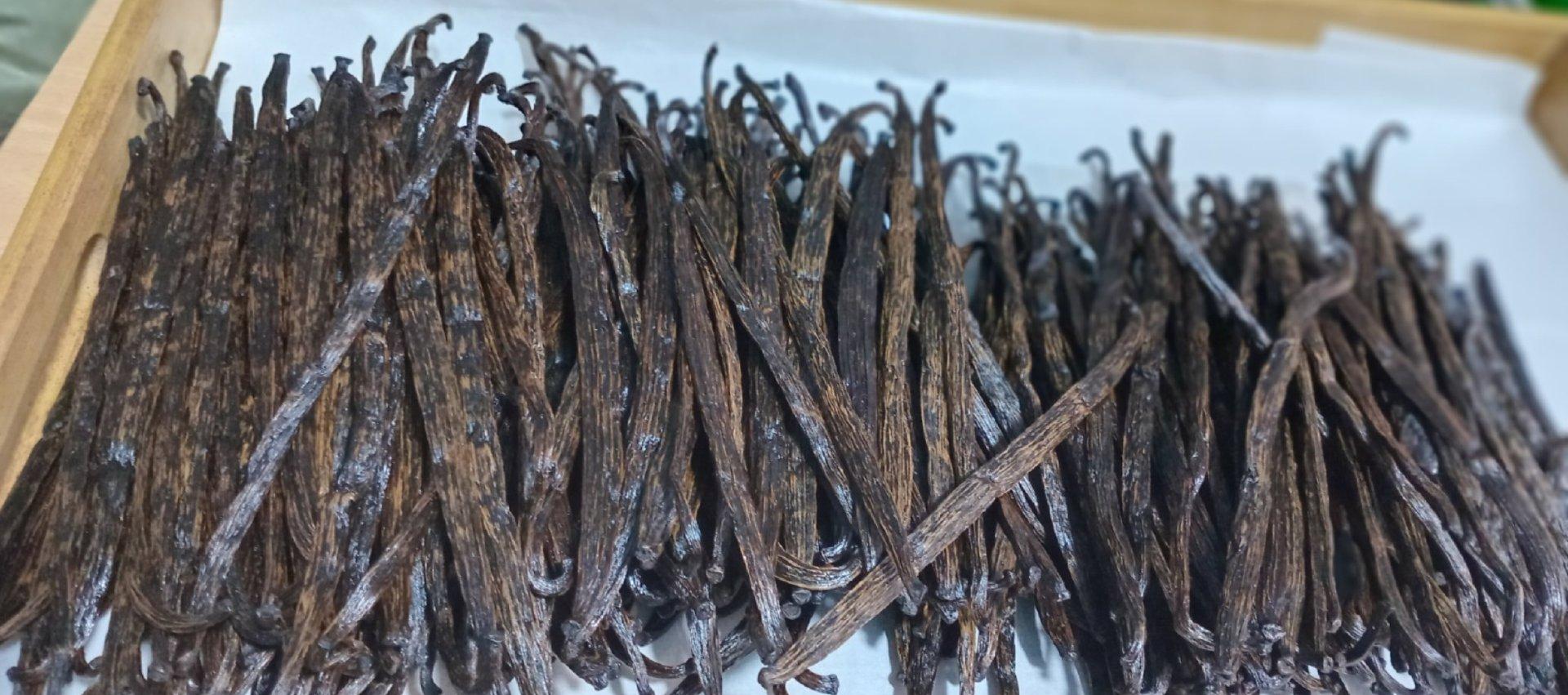 Natural Vanilla Uganda Vanilla Beans