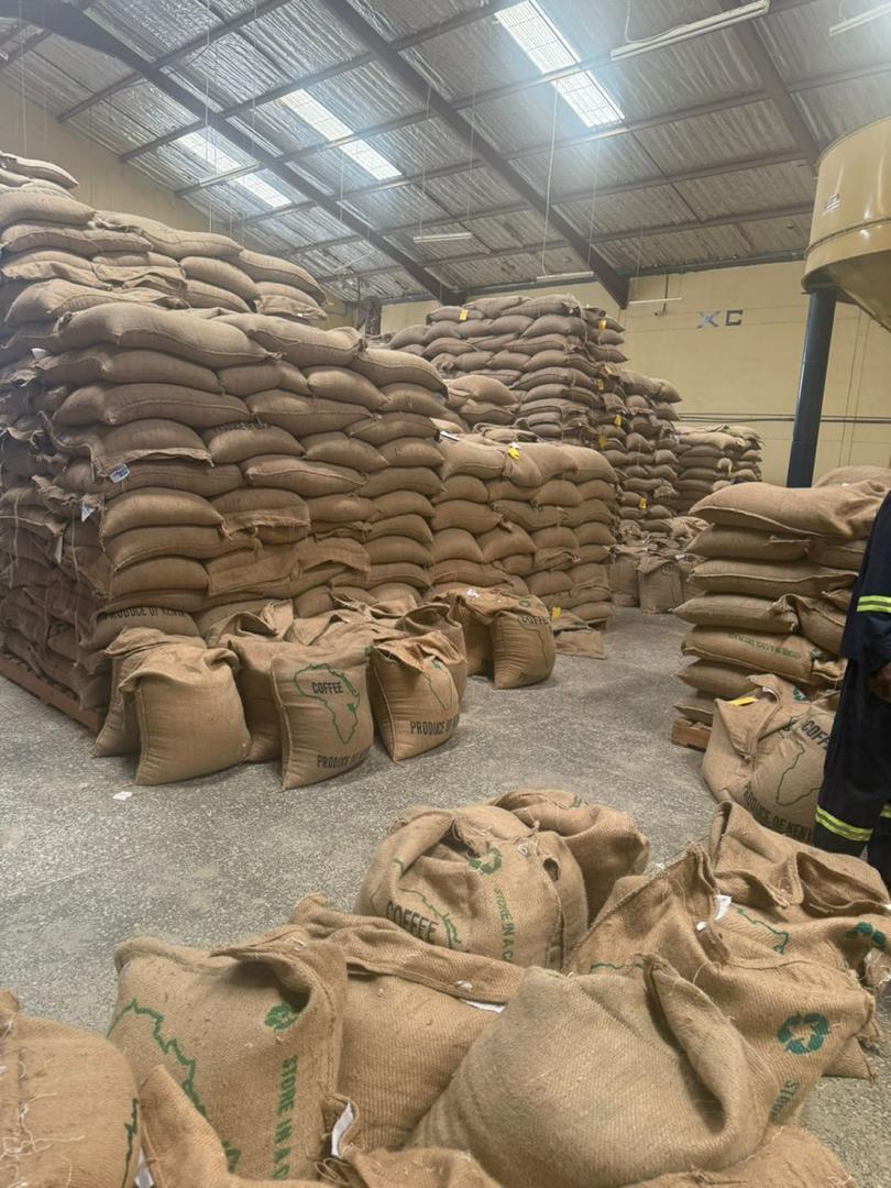 Robusta and Arabica Beans